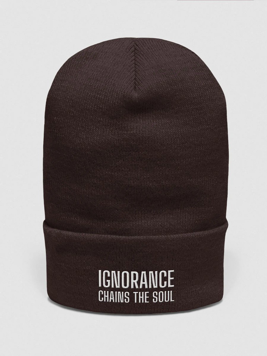 Interconnected Flow Beanie | life motto IGNORANCE CHAINS THE SOUL product image (2)