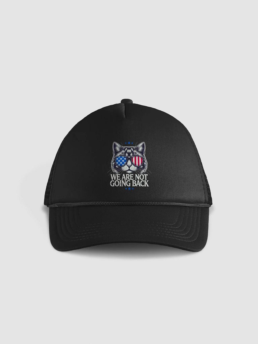 US Election Day 2024 We Are Not Going Back Cat America Flag Hat product image (1)