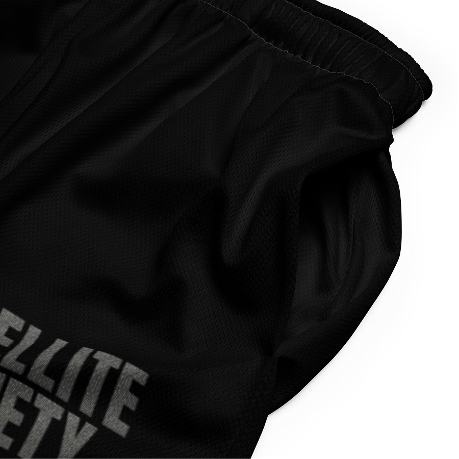 SATELLITE SOCIETY Skull Mesh Shorts product image (5)