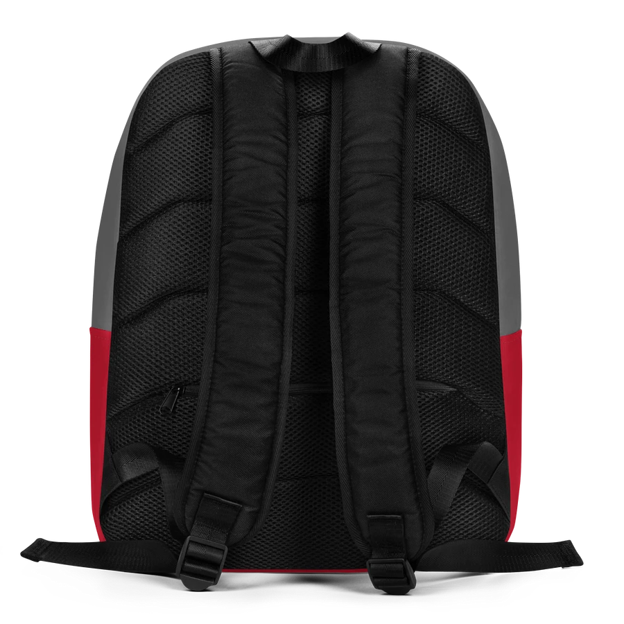 Raymond Lewis L.A. Legend Backpack product image (4)