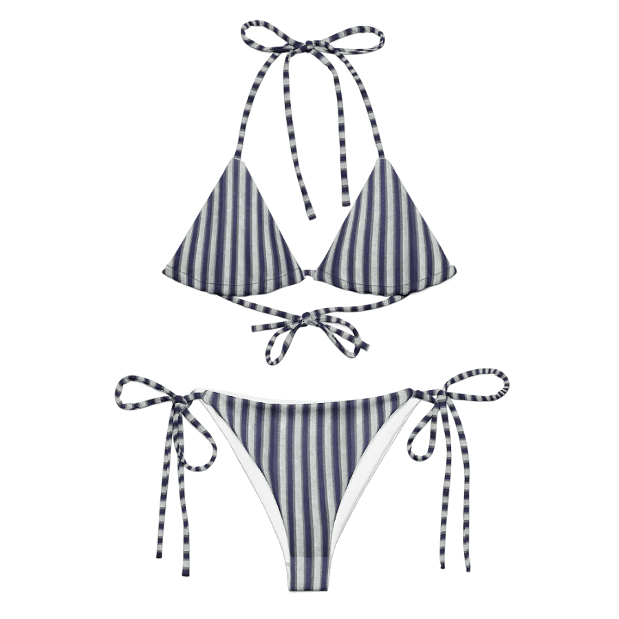 The Gray Areas Striped Bikini product image (1)
