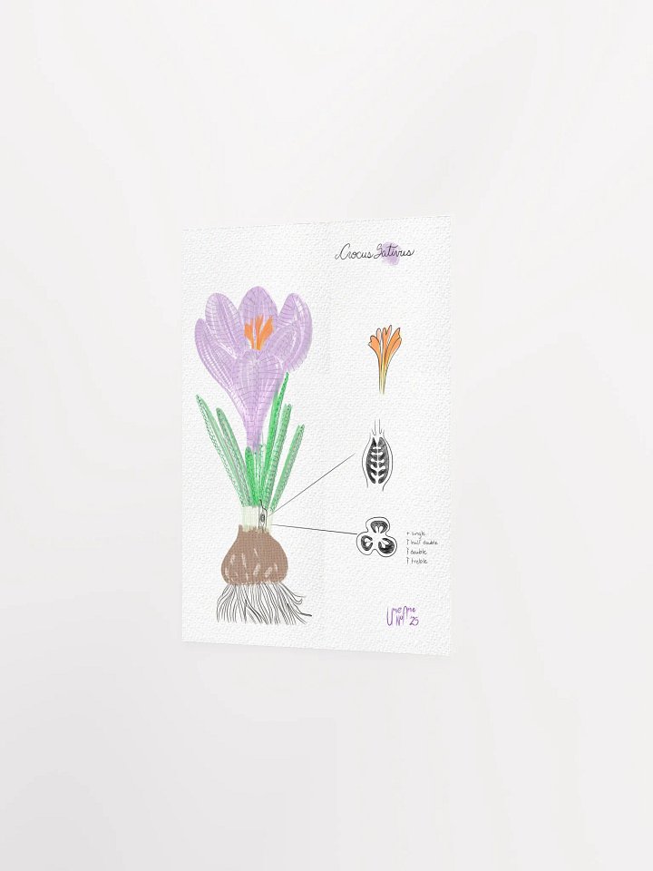 Crochet Vision: Crocus Print product image (4)