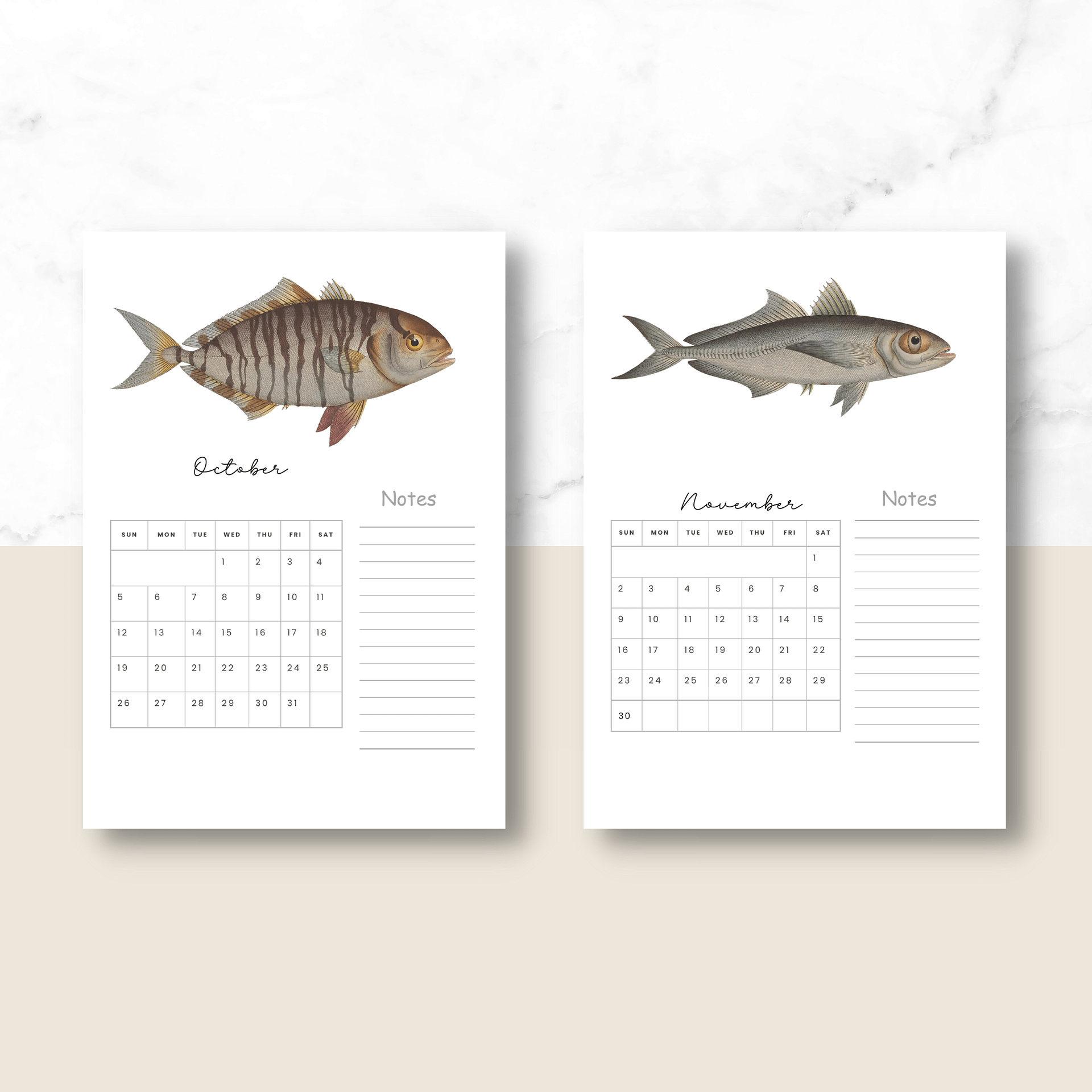 2025- 2026 PDF Calendar: Ocean Life product image (6)
