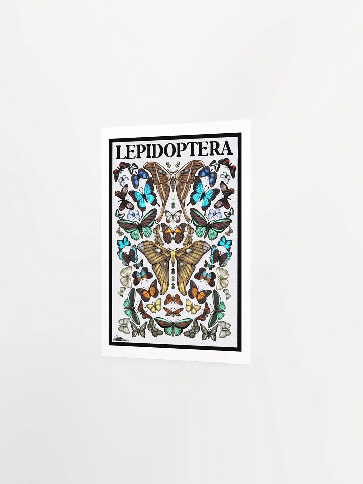 "Lepidoptera" Poster product image (2)