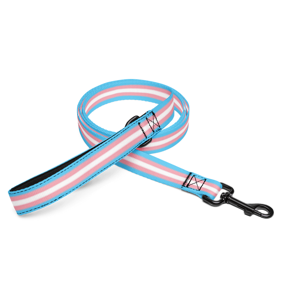 Trans Pride Flag Pet Leash product image (1)