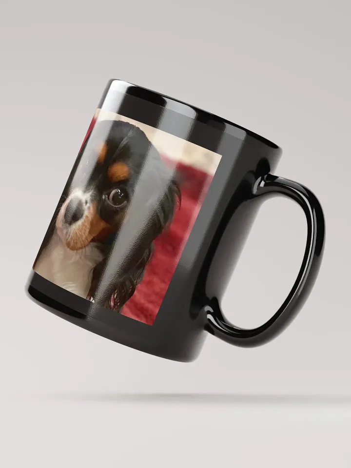 Myra and her 2024 Puppies product image (4)