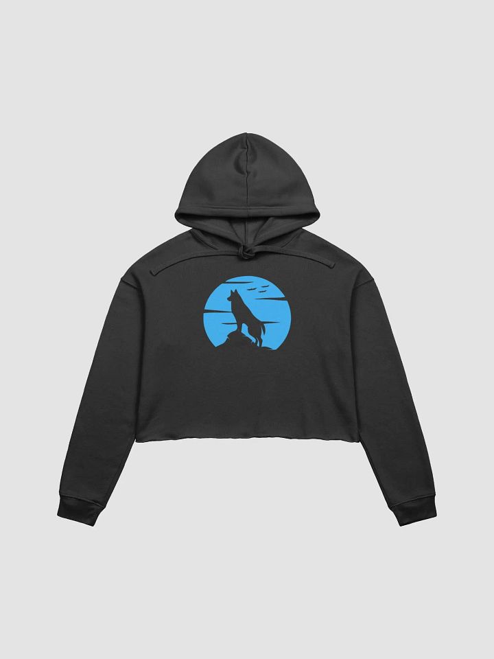 Soft Tones Cropped Hoodie product image (3)