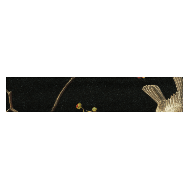 Still Life. Headband product image (1)