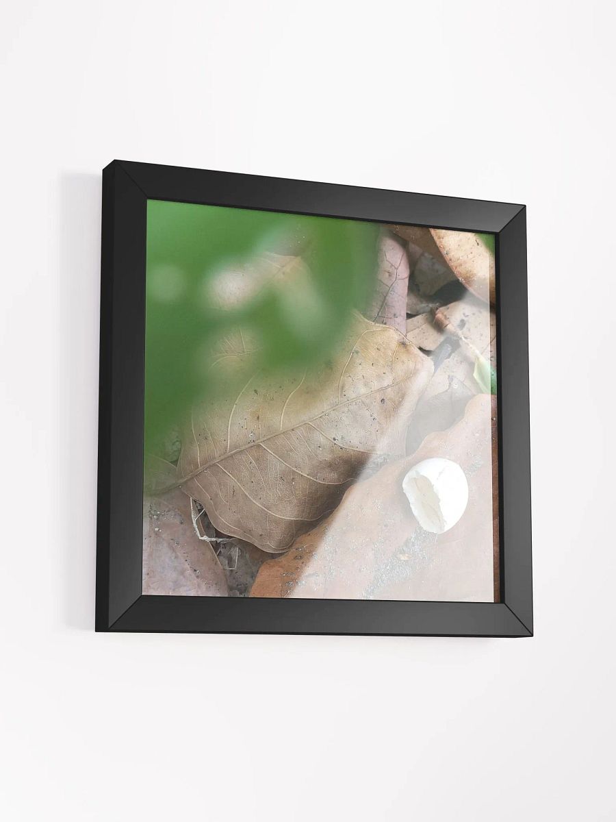 Hatched Egg framed photo product image (13)