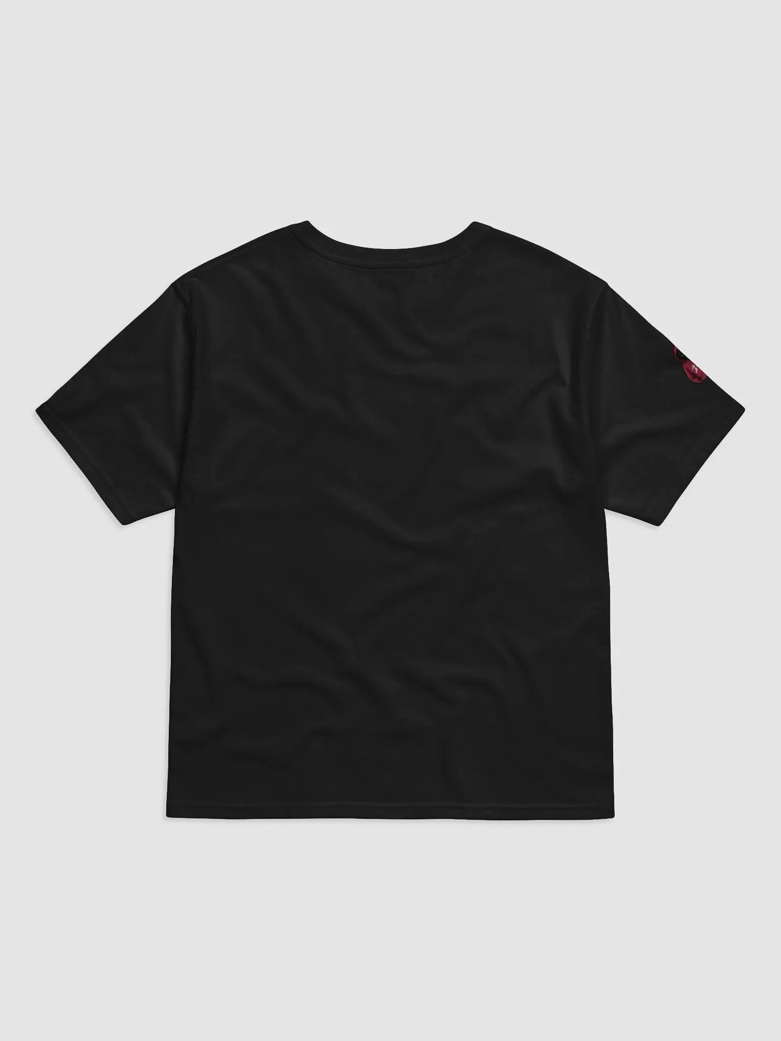 Champion and DP T-shirt product image (21)