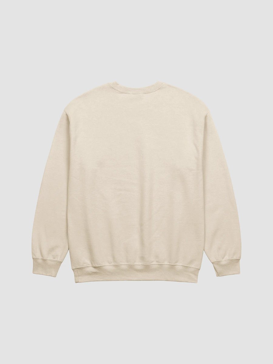 EARTH TONE BEIGE SWEATSHIRT product image (3)