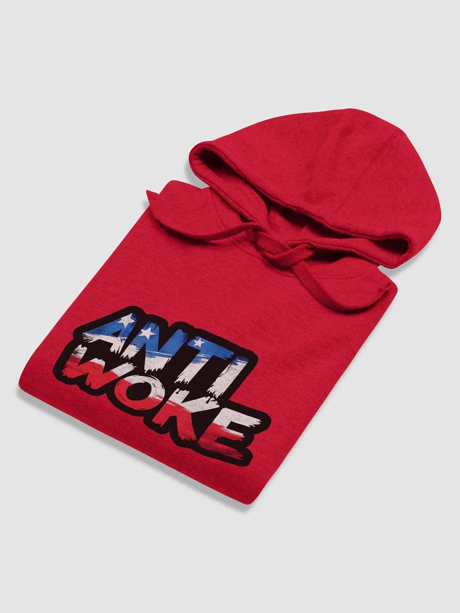 Hoodie: Anti Woke product image (48)