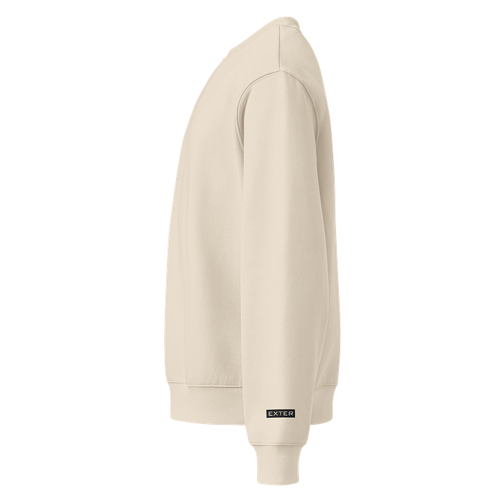 SWEATSHIRT product image (10)