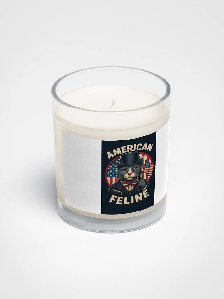 AMERICAN PUSSY product image (2)