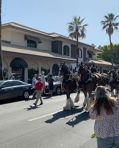 Eeeeeeeee! 🎉 I felt like a little kid watching these majestic beauties today! 
We had a fantastic lunch @thewineandcheeseshop...