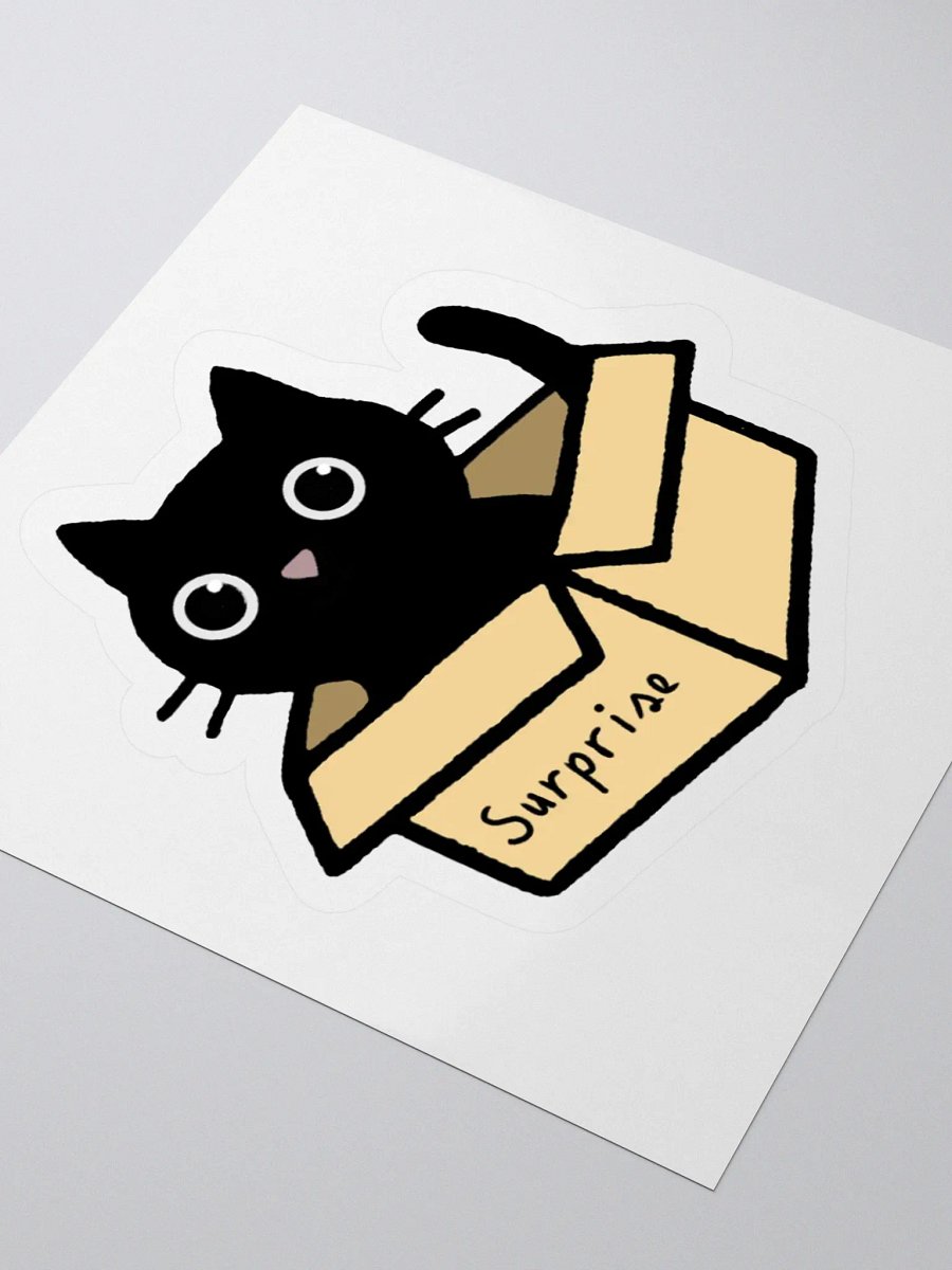 Surprise Cat product image (7)