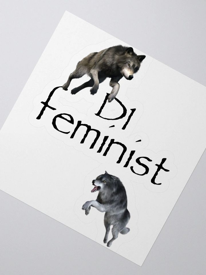 D1 Feminist Stickers product image (8)