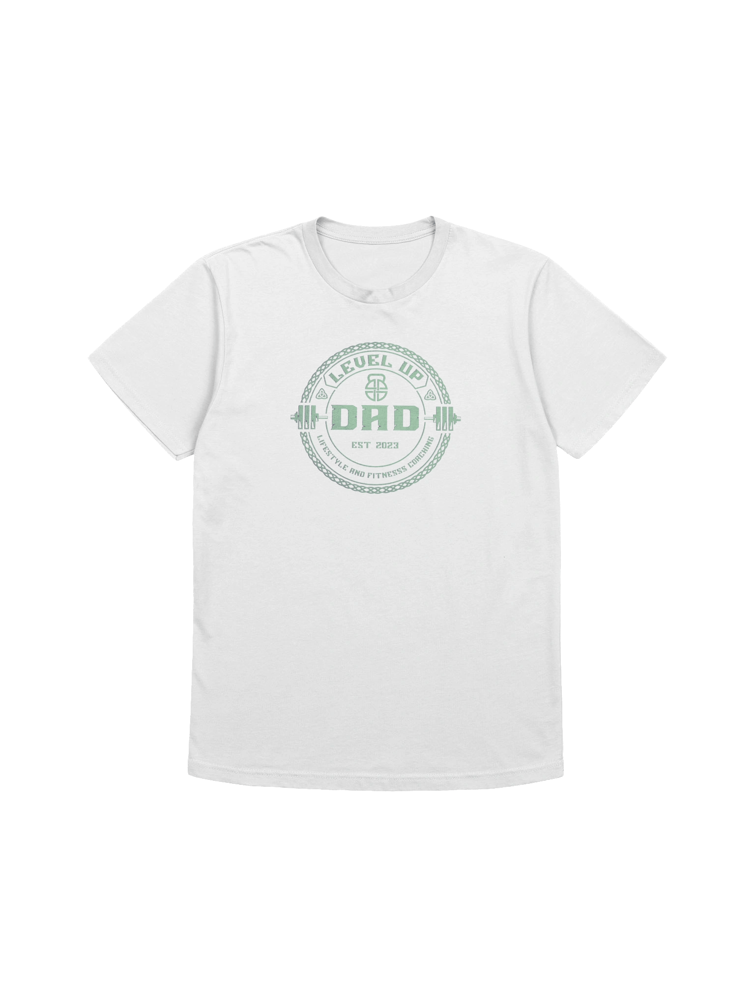 Level Up Dad T (Mint) product image (3)