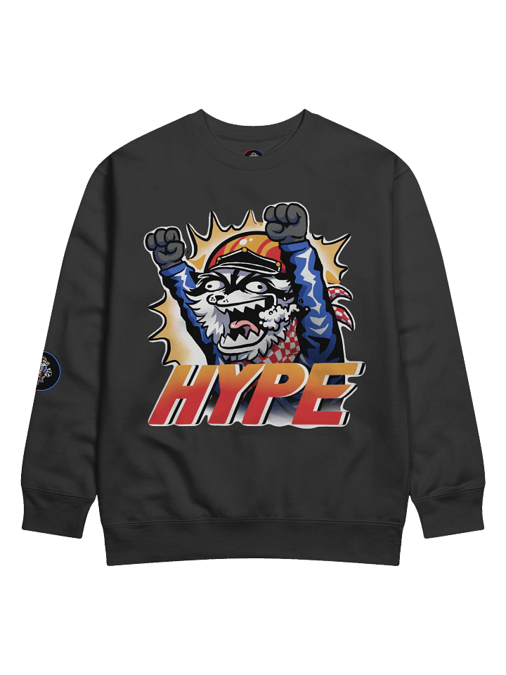 HYPE Longsleeve product image (1)