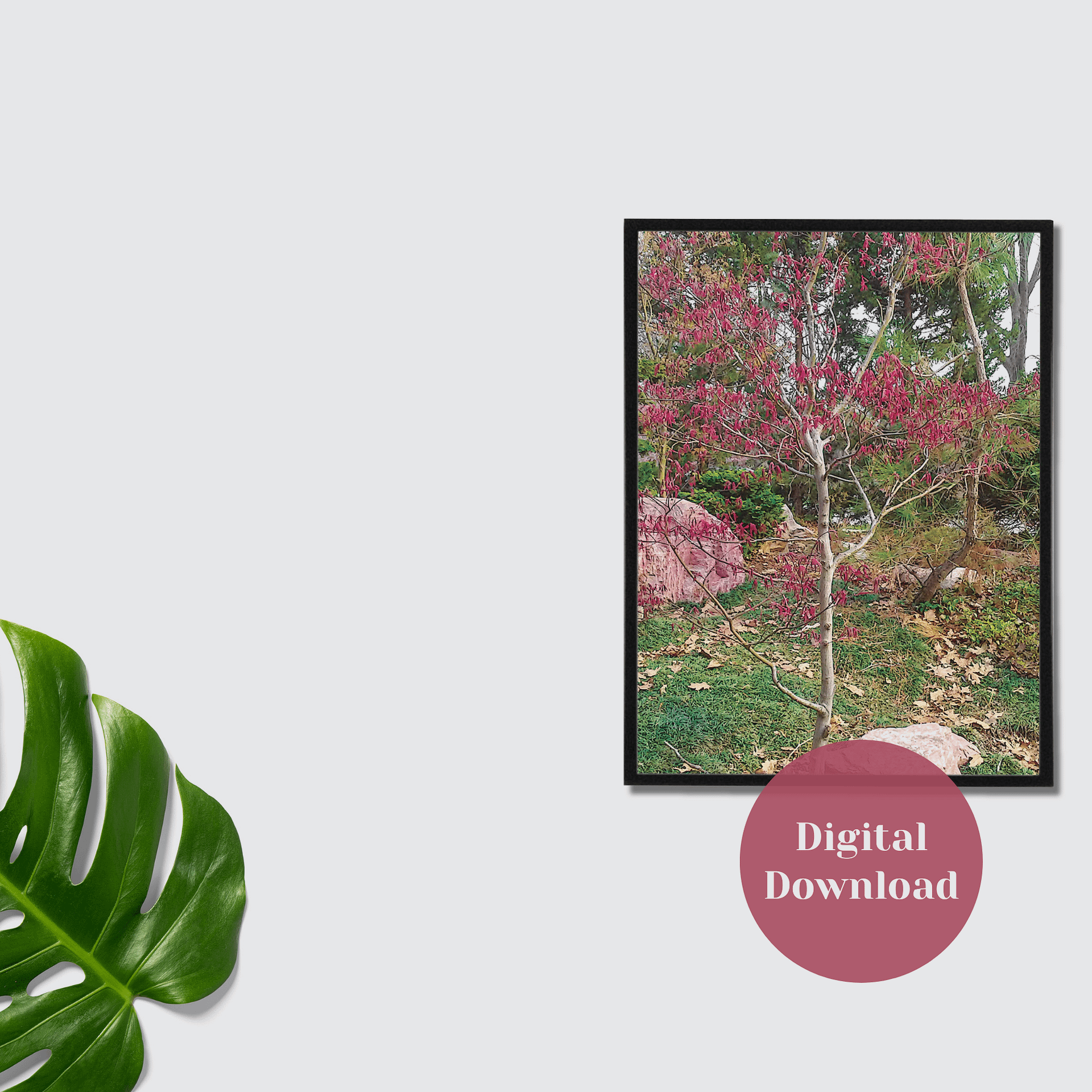 Pink Flower Tree Photographic Print product image (3)