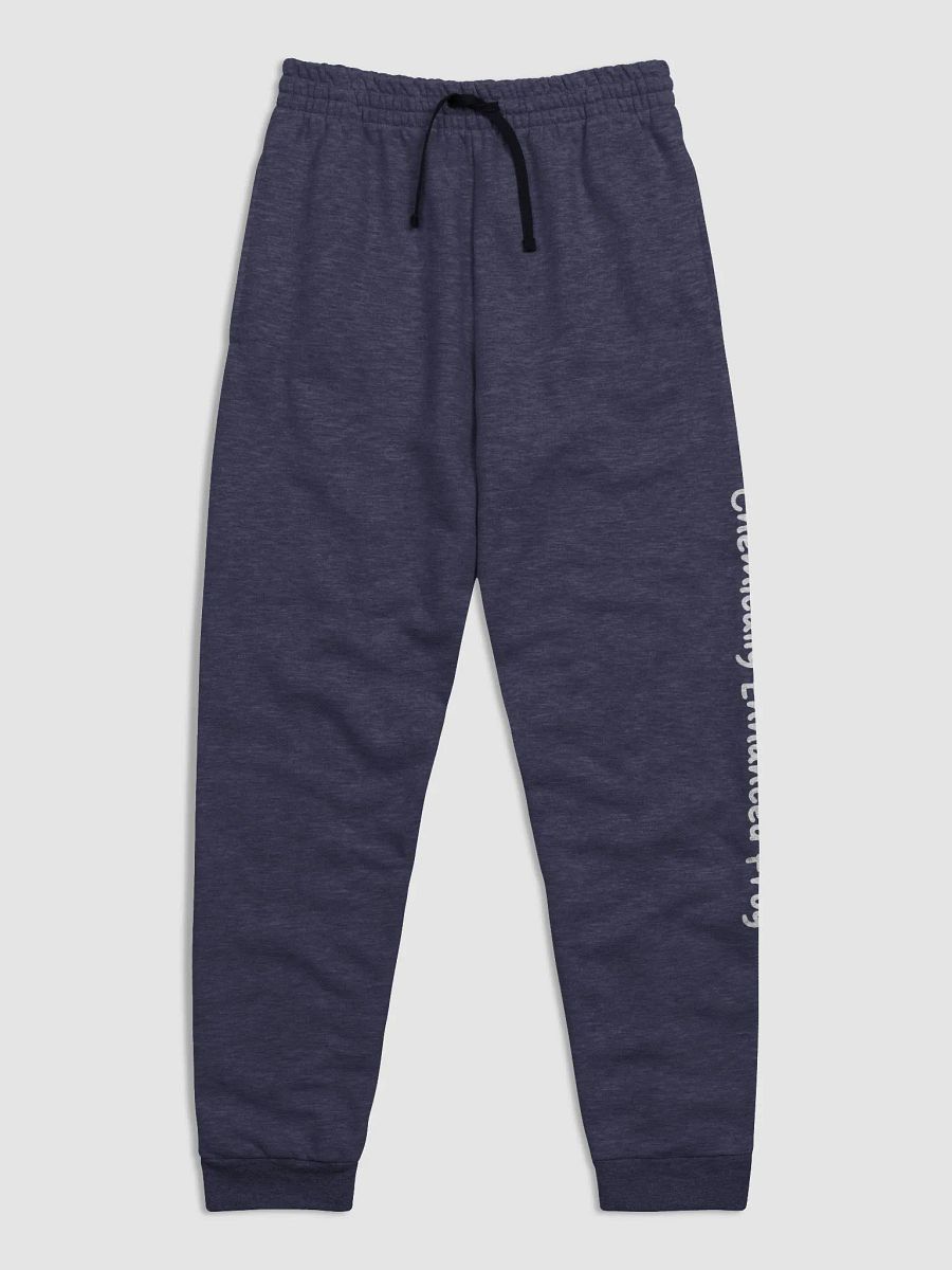 Phrogie Pride Joggers product image (1)