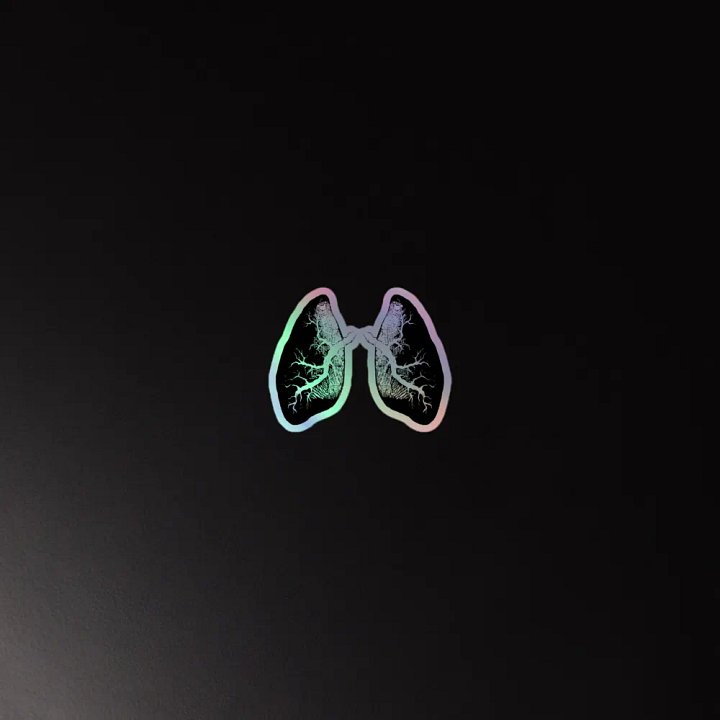 Hold your breath - X-ray lungs sticker product image (2)