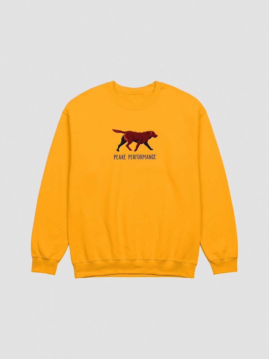Peake Performance Sweatshirt (Embroidered) of a Chesapeake Bay Retriever(Brown) product image (10)