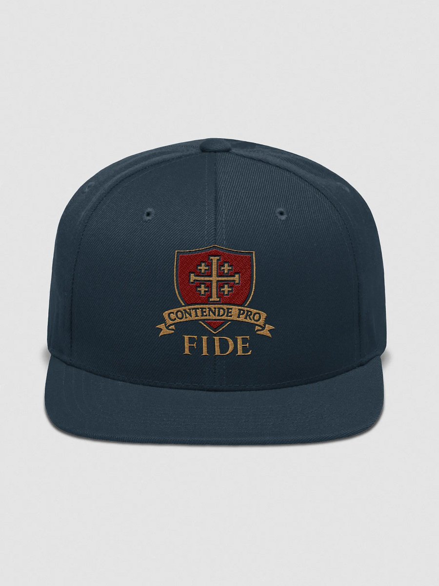 CPF Snapback product image (2)