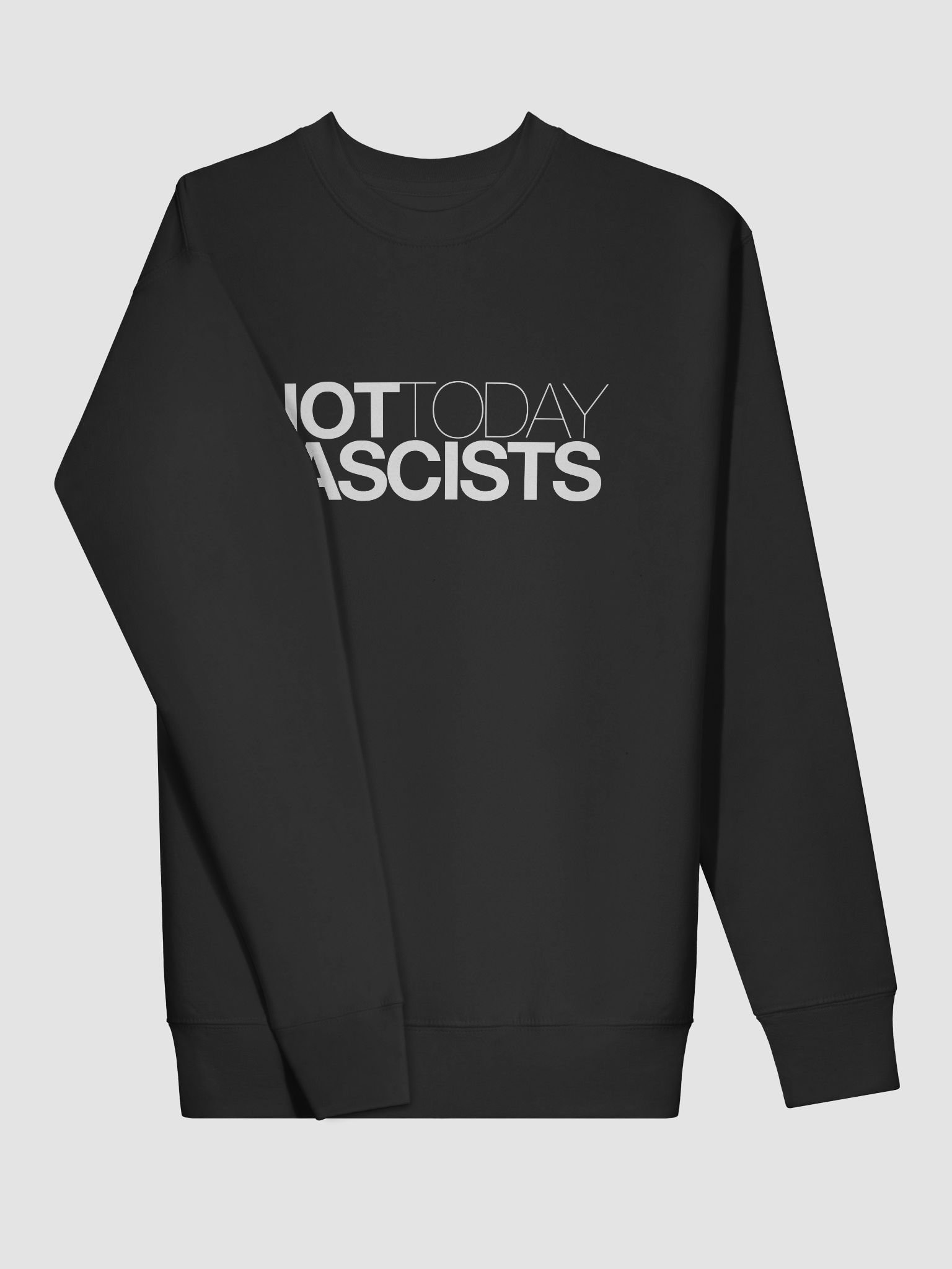 Not Today Fascist Sweat product image (3)