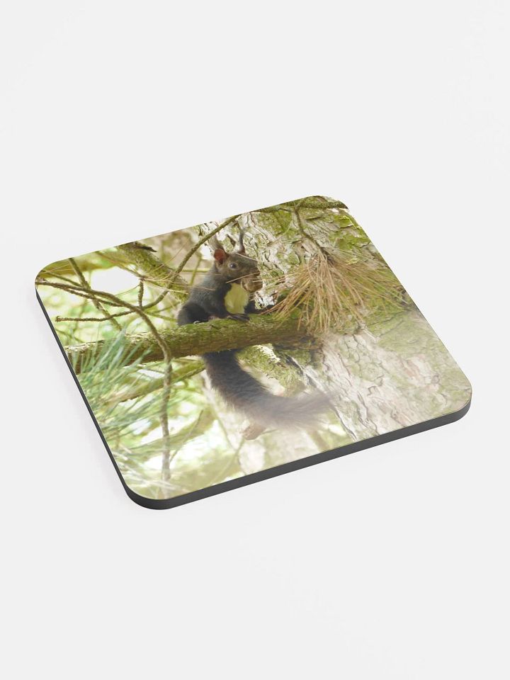 Glossed Cork Coaster - The Eurasian red squirrel product image (2)