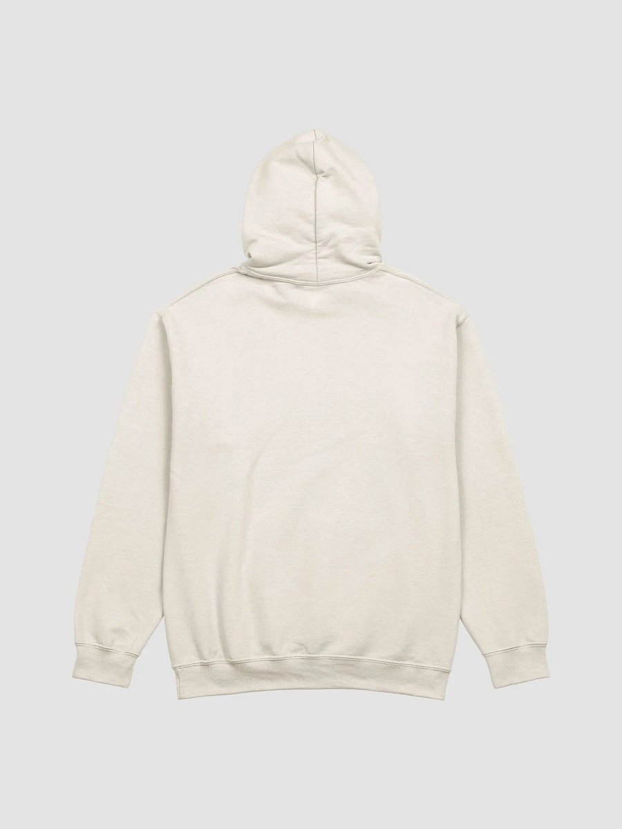 I run a tight shipwreck Hoodie product image (3)