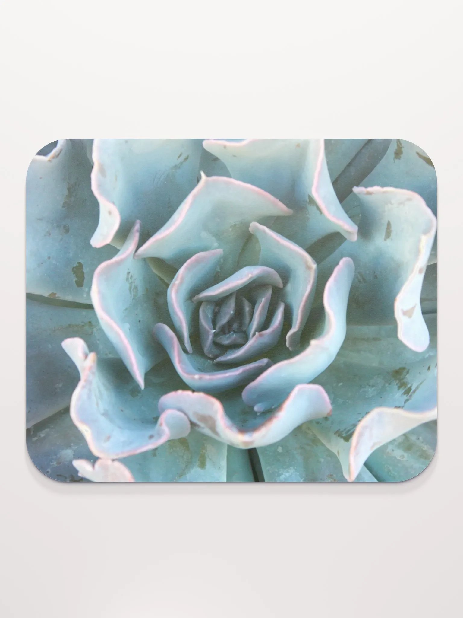 Cabbage Succulent Mouse Pad product image (2)