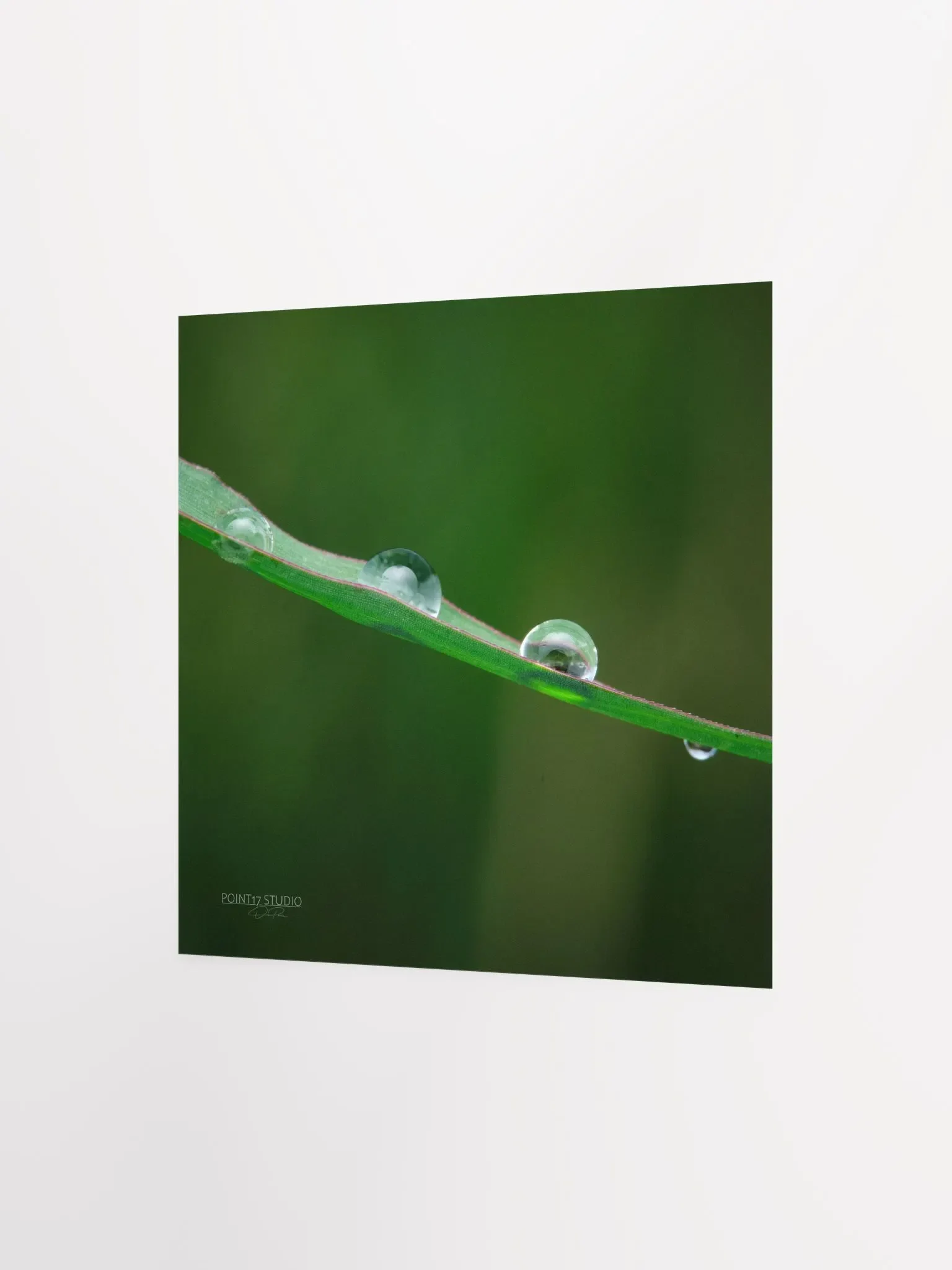 Dew Gems #5 - Print product image (4)