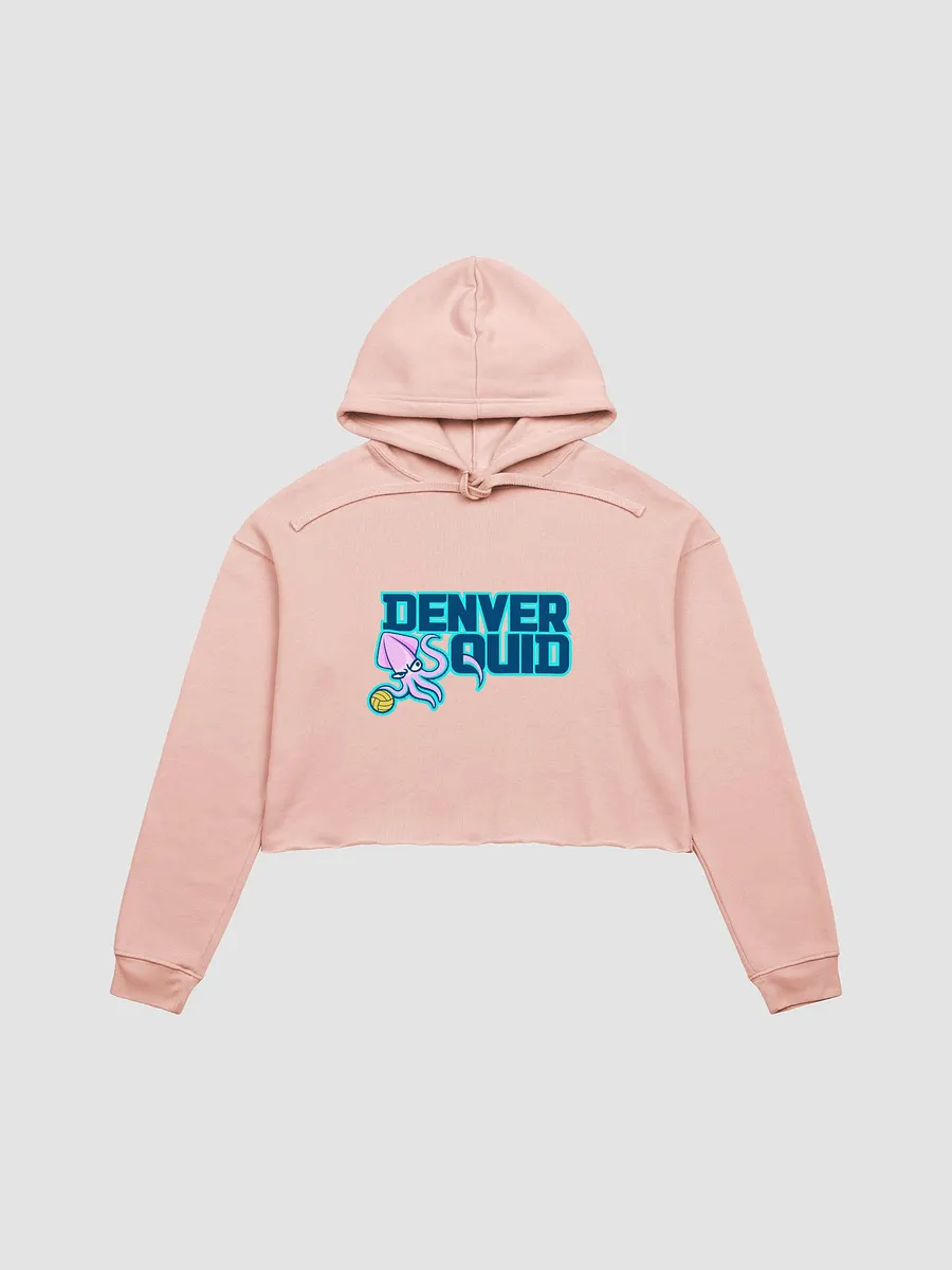 Crop Hoodie - POLO product image (1)