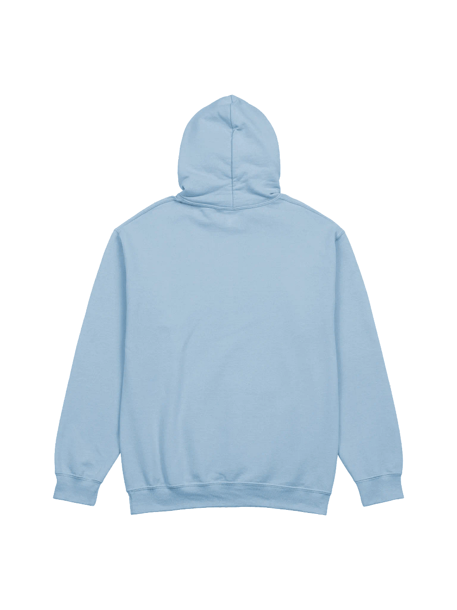 This Too Shall Pass Hoodie product image (6)