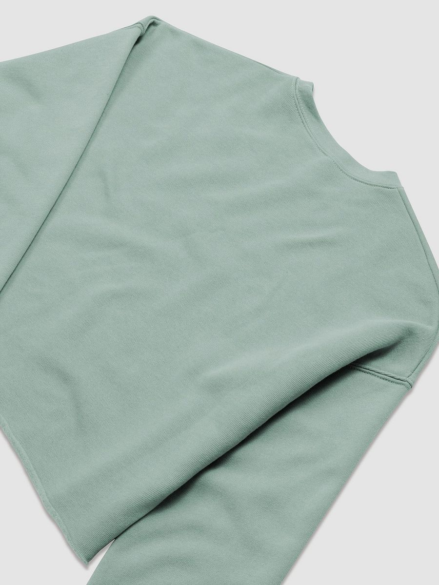 Topaz Nation Cropped Crewneck product image (8)