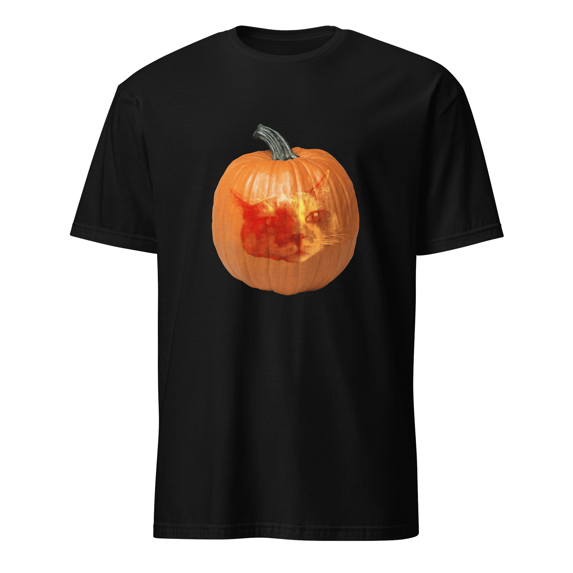 Kitty Pumpkin Tee product image (1)