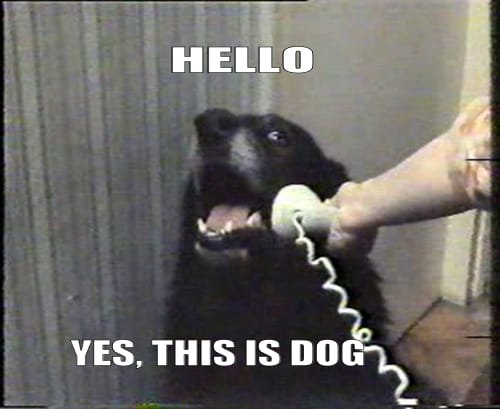 So a scammer called me up and told me she had 
