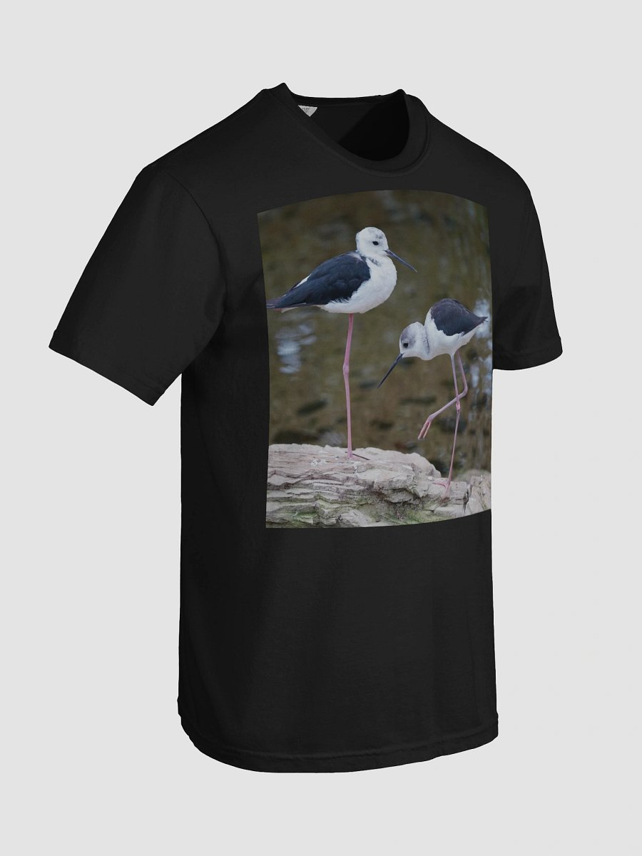 Mystic Shoreline T-Shirt product image (7)