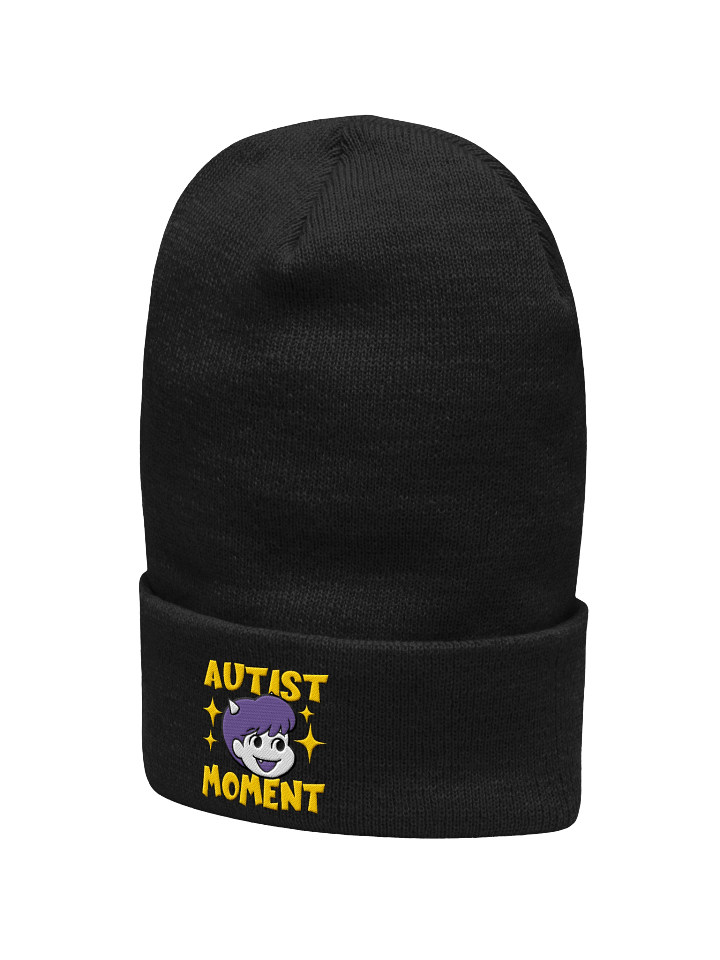 Autist Moment Beanie product image (27)