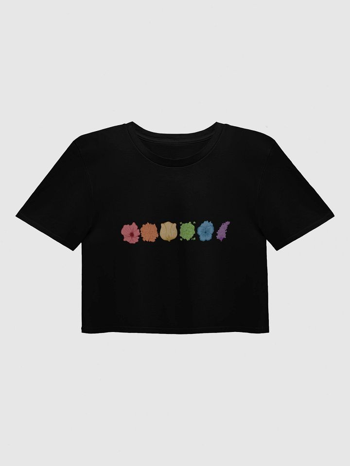 Cozy Pride Crop product image (1)