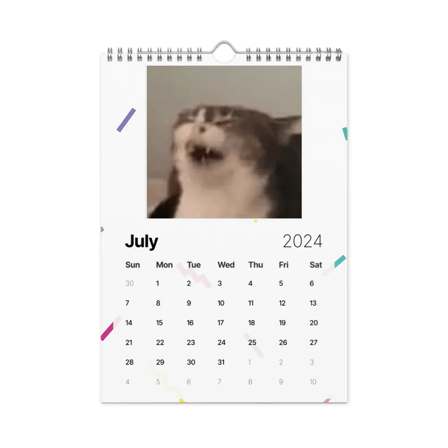 Wall Calendar (2024): Meme Cats product image (10)