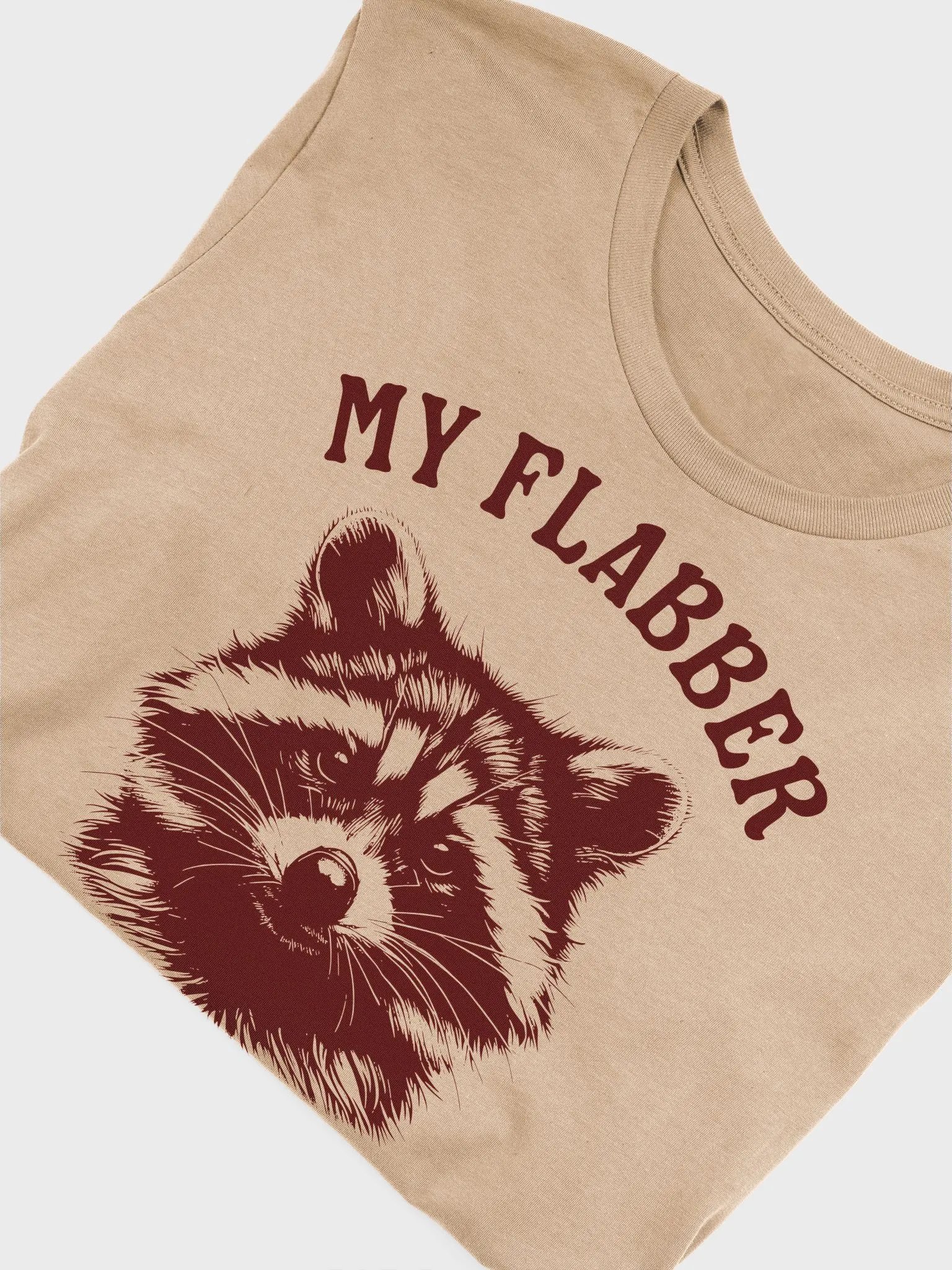 Flabbergasted Racoon Unisex T-Shirt product image (9)