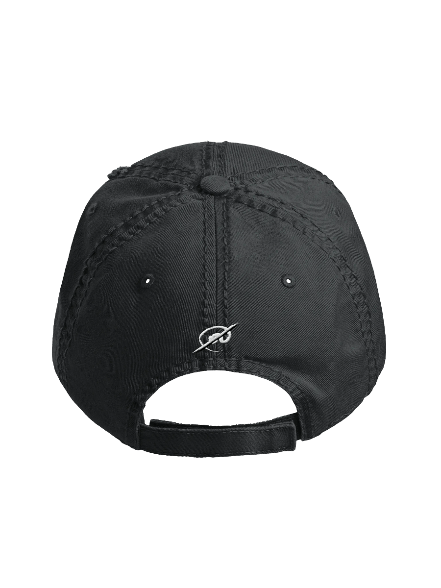 The PASP B&W OG Distressed Dad Hat product image (4)