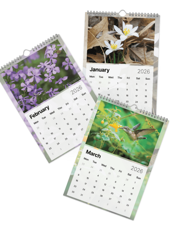 2026 Wall Calendar product image (2)