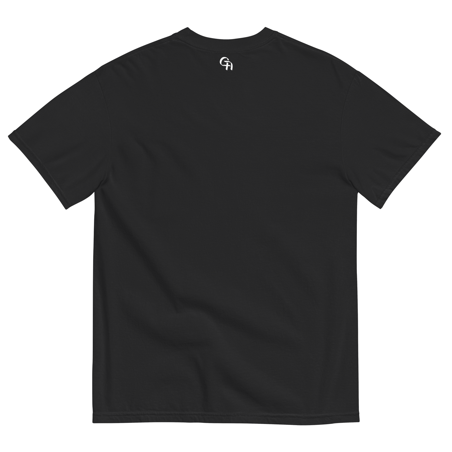 HIS GLORY TEE - BLACK product image (2)