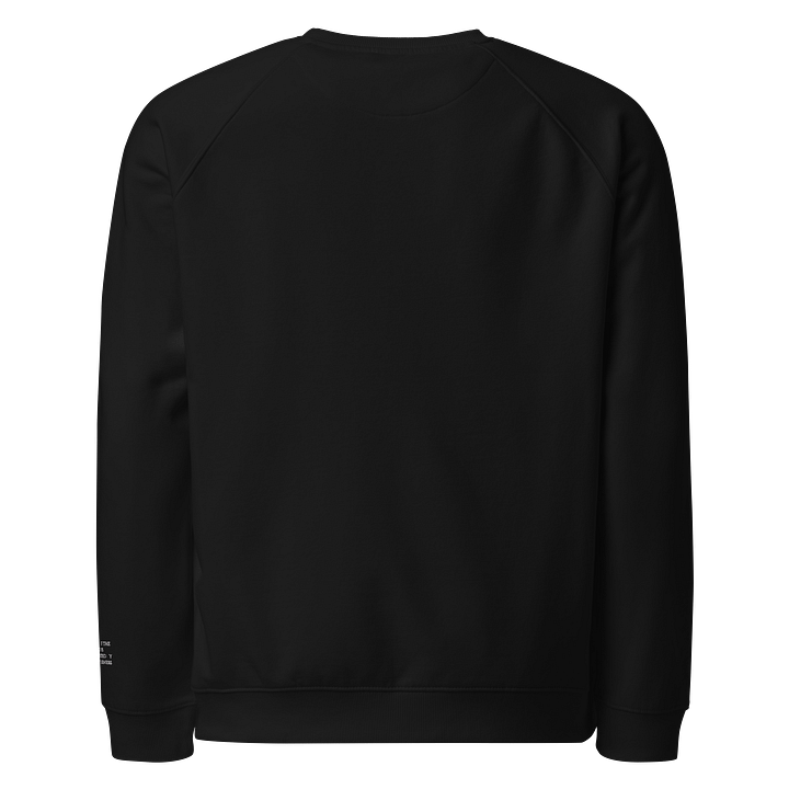 100 % Organic Cotton Raglan Shirt Shirt - Ua Mau Ke Ea O Ka Aina I Ka Pono product image (2)