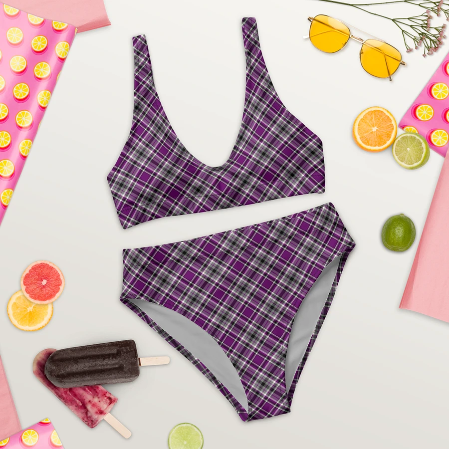 Purple, Gray, and Black Plaid Bikini product image (9)