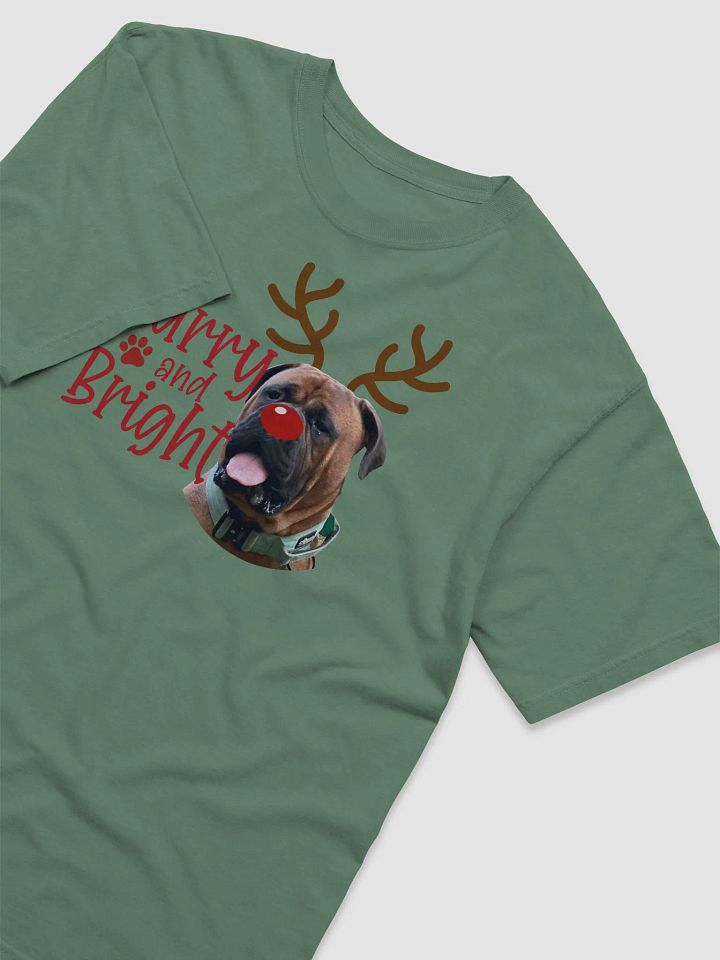 Furry & Bright Short Sleeve Tee product image (41)
