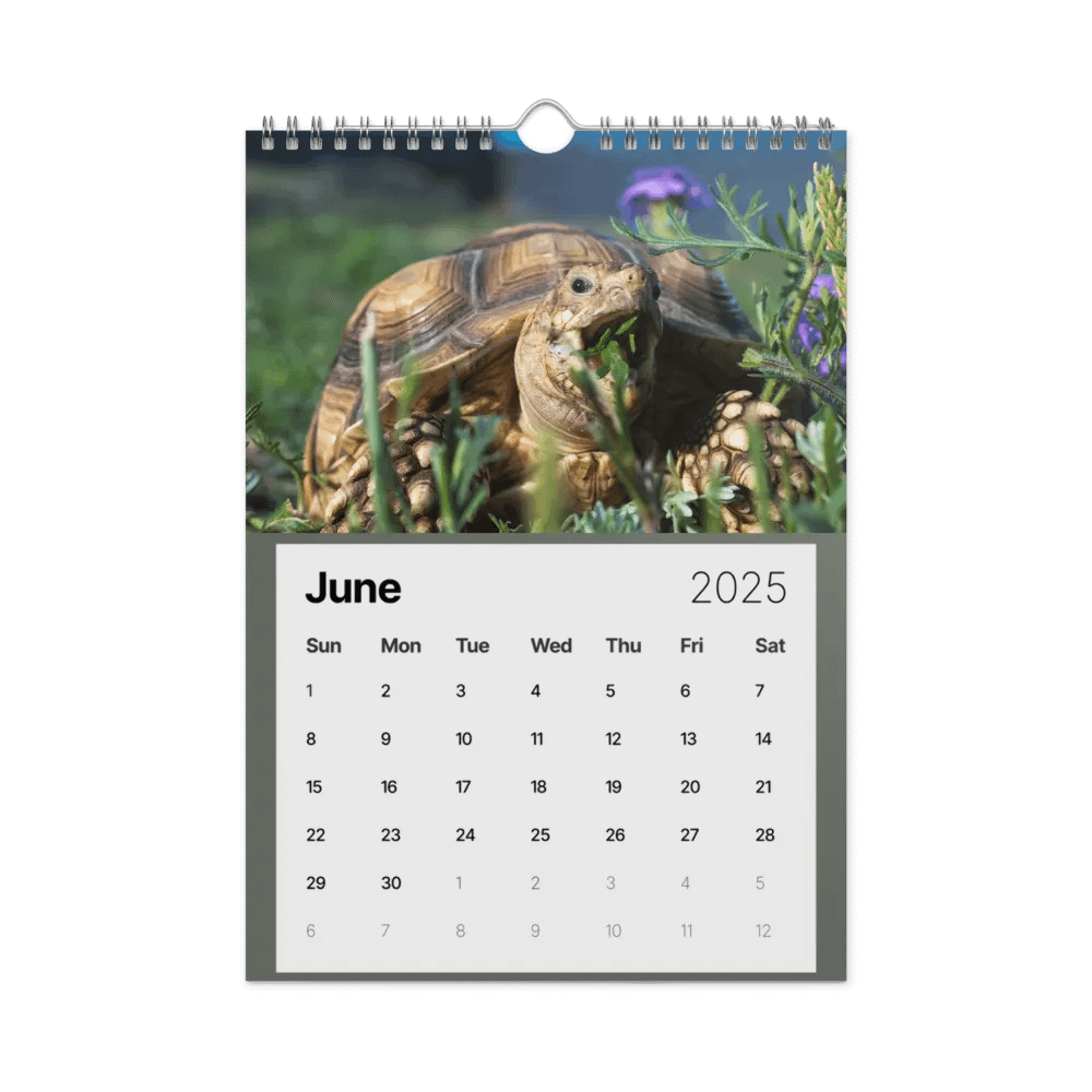 Alveus 2025 Calendar product image (46)
